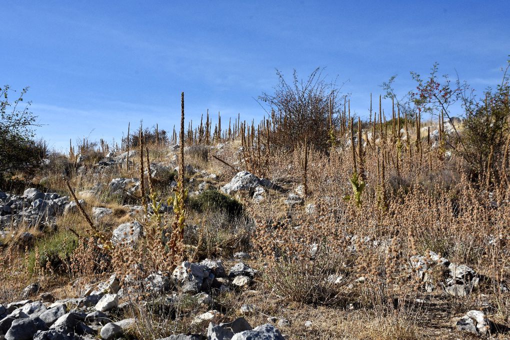 DU CASTELLARAS A LA MARBRIERE UNE RANDO DECOUVERTE