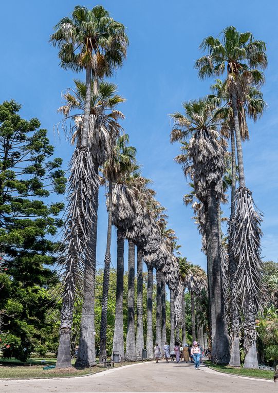 Jardin botanique