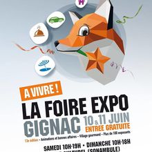 FOIRE EXPO GIGNAC 2017