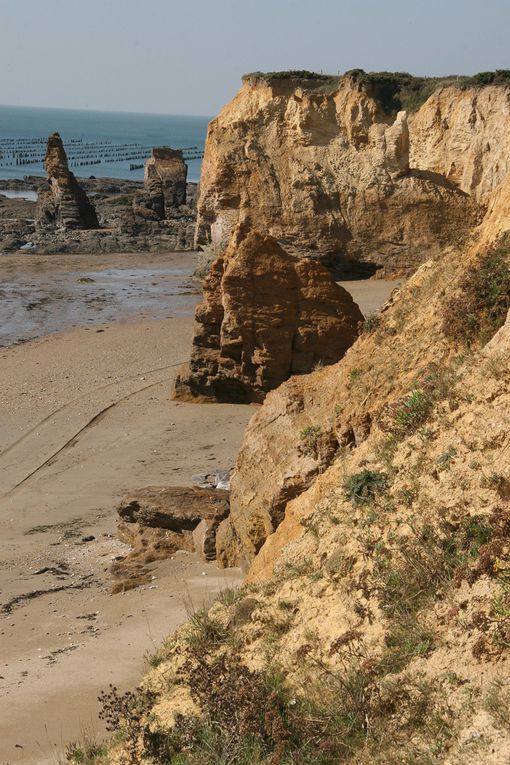 Les parcs à moules de bouchot de la Pointe du Bil