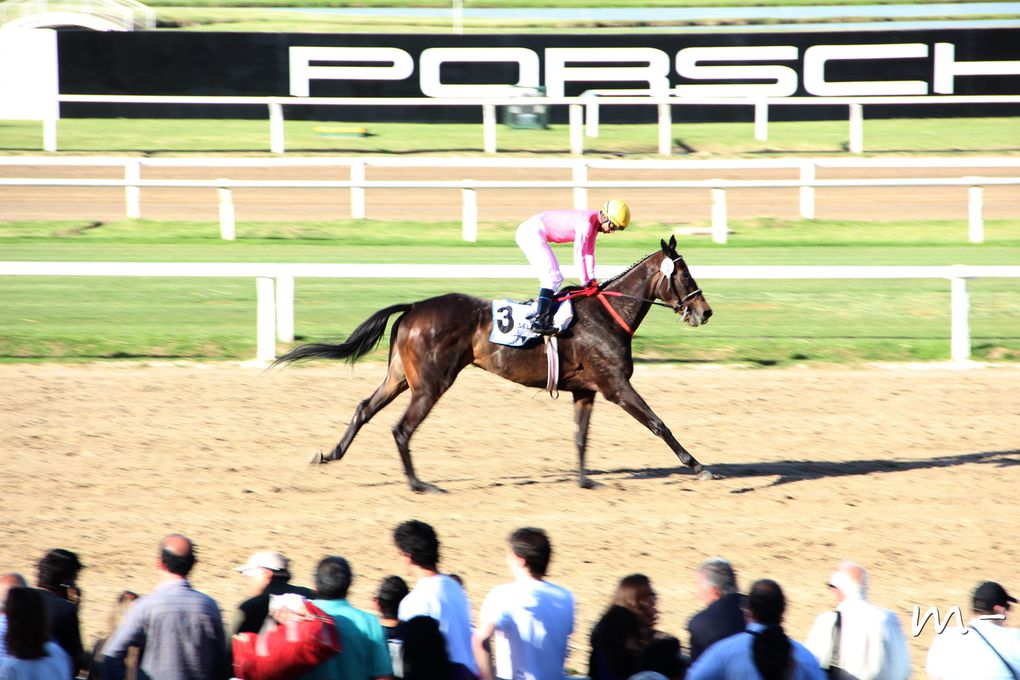 Album - hipodromo-de-Palermo