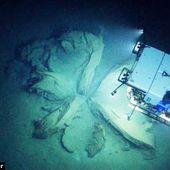 Misteriosas "flores gigantes" en el fondo del océano desconcertaron a los científicos (Fotos y vídeo) -- Sott.net