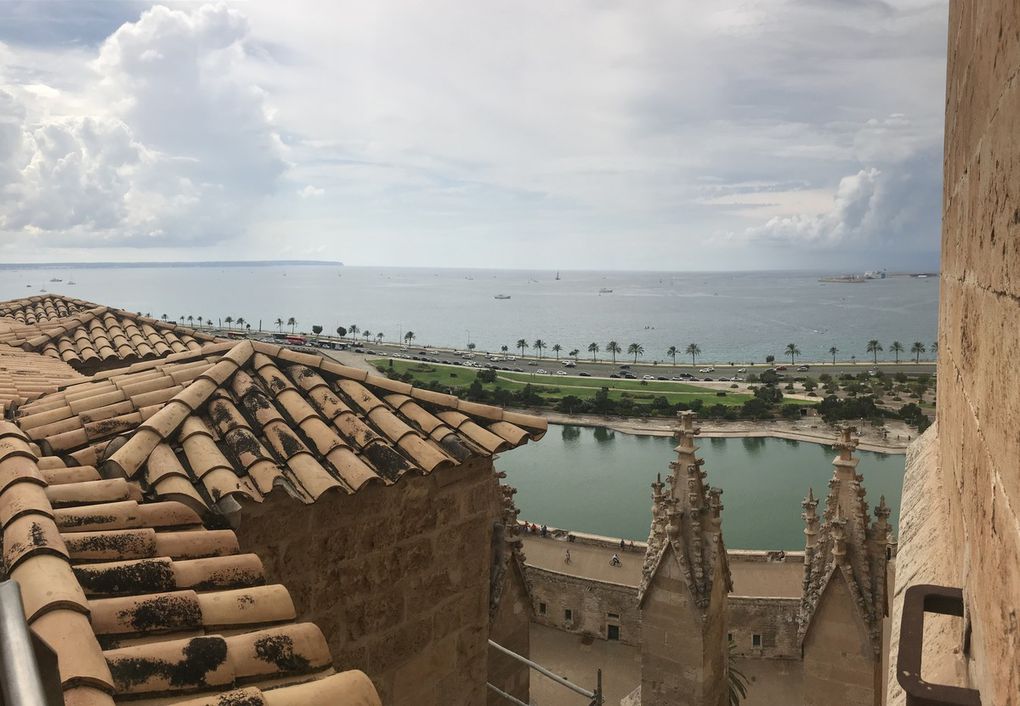 Les terrasses de la Seu, cathédrale de Palma 