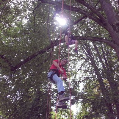 Initiation à la grimpe dans les arbres