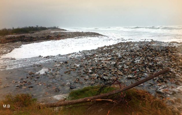 Plage des Aresquiers sous la tempête... quand la...