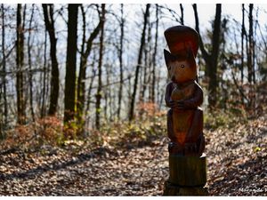 De belles sculptures en forêt de Saverne !