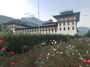 3 ème et dernière visite  : Le Tashichho Dzong construit  en 1962 par le 3 ème roi  il contient les  bureaux de l'administration royale  et  des plus hautes instances religieuses du Pays  . On peut les visiter après 17 h ,sans toutefois entrer dans les bâtiments sauf un temple  ,mais les photos  y sont strictement interdites (comme  d'ailleurs dans tous les temples au Bhoutan ..et c'est bien dommage  ) 