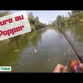 Silure au popper en float-tube.