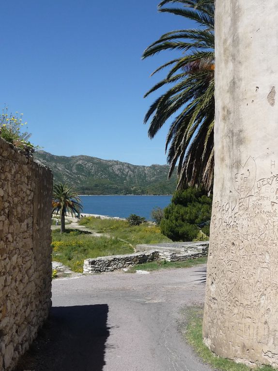 Mes dernières vacances en Haute Corse (Mai 2012).