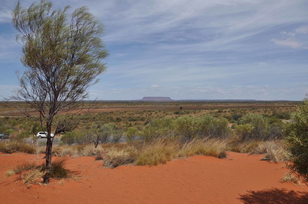 Album - Route vers Kings Canyon et Kings Canyon