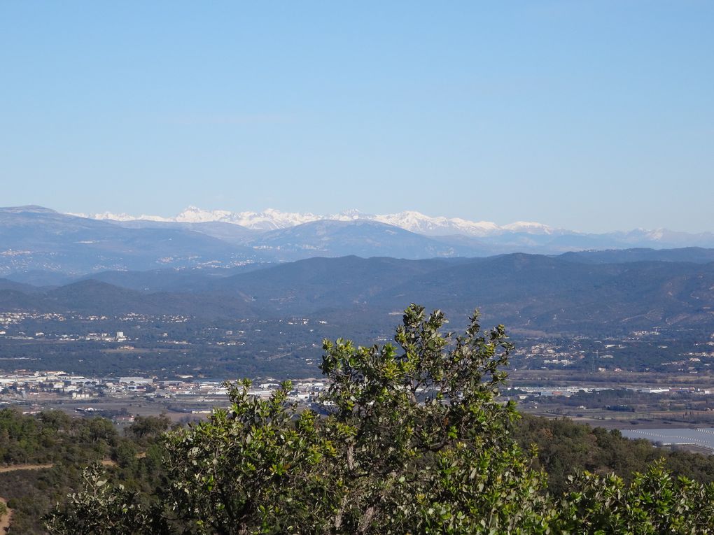  &quot;Le Tour des Petites Maures &quot; au départ de Frejus (83) le 15/01/2017