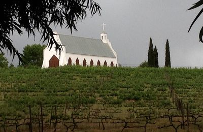 La route des vins: du Pinotage au Chenin.