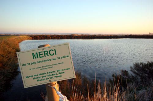 Images des marais salants de Gu&eacute;rande&nbsp;au lever du soleil