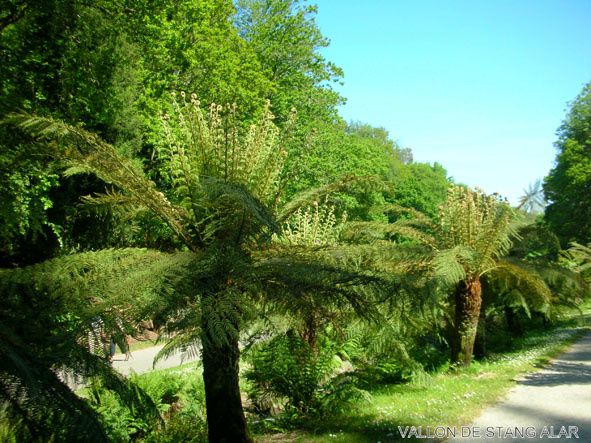 Album - Voyage 2010 - Vallon du Stang Alar