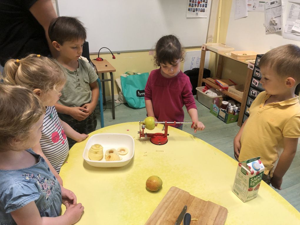 Réalisation d une compote de pommes en PS MS