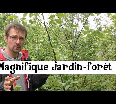 Un autre monde est possible 