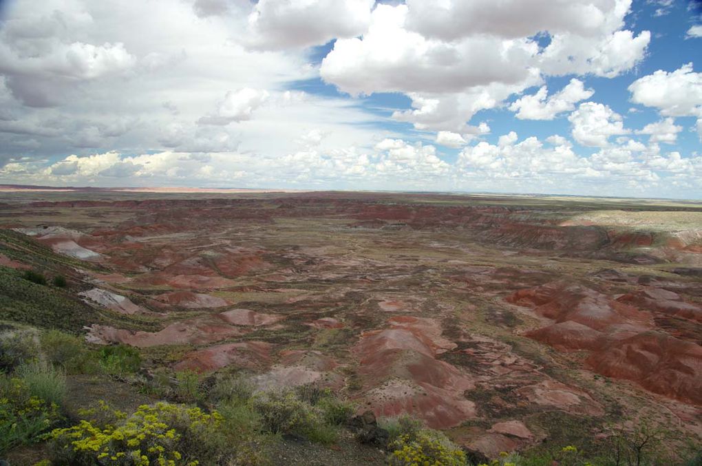 Album - painted-desert