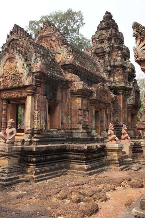 Album - Angkor-mars-2011