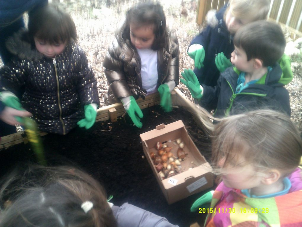 Le jardin des petits en automne