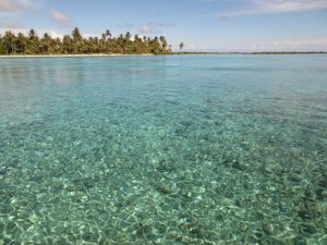 En route pour un pique-nique sur un motu en passant par un jardin de corail, le spot des raies manta (de 3 à 5 m d'envergure quand même!) visibles en PMT