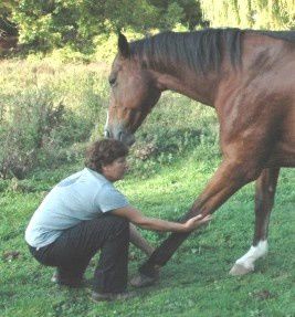 Photos Nos amis les animaux