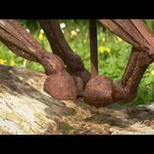 L' art animal : le "savoir fer" du sculpteur Laurent Girard
