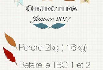 Objectifs de janvier 