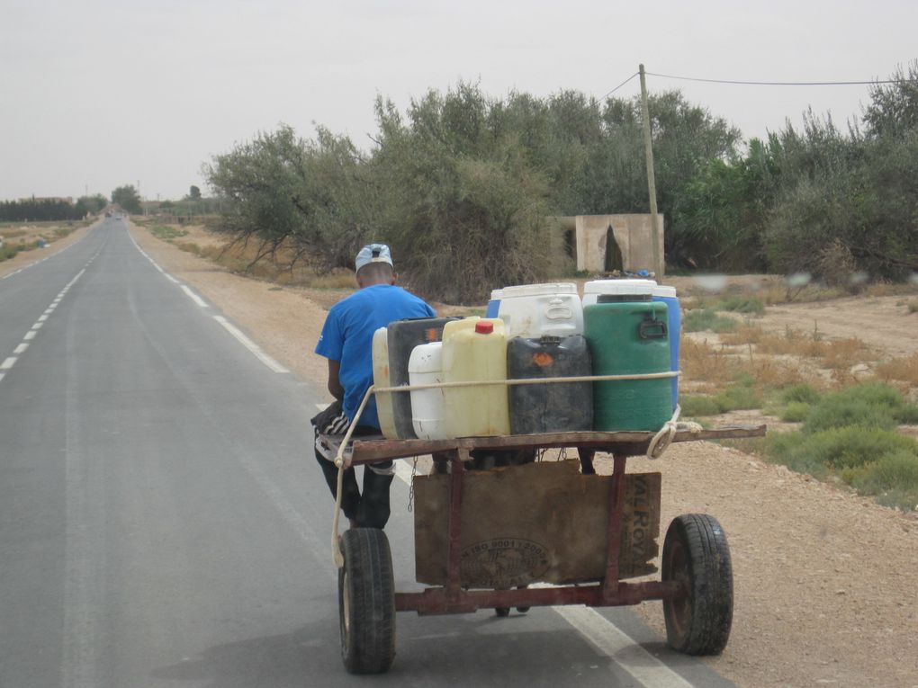 2010 - Maroc