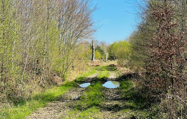 la Route des Réunions