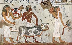 Historia de la pintura del antiguo Egipto