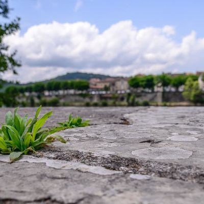 Près de l'eau...