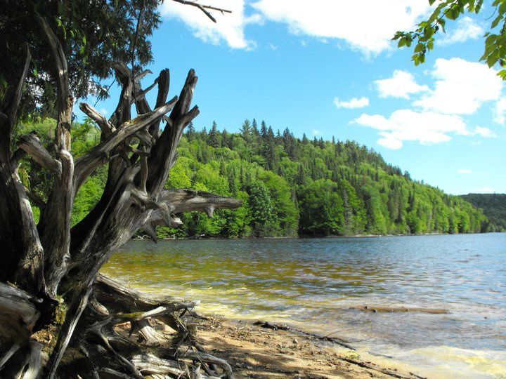 c'est une collection de photos de voyage prise par les membres de CPE