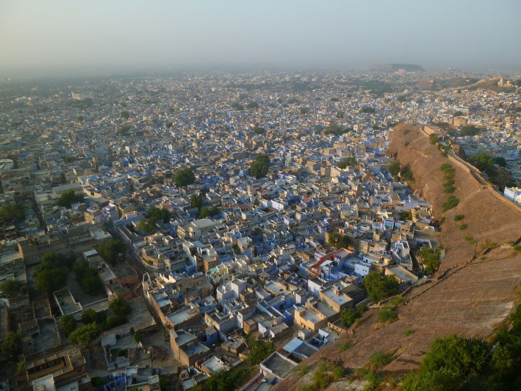 Album - Jodhpur, la Ville bleue