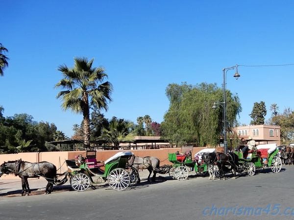 Marrakech( Maroc en camping-car)