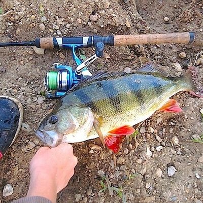 quelques photos en attendant l'ouverture...