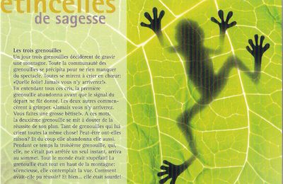 Grenouille! mon animal totem?