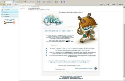 Wakfu enfin le bêta test !