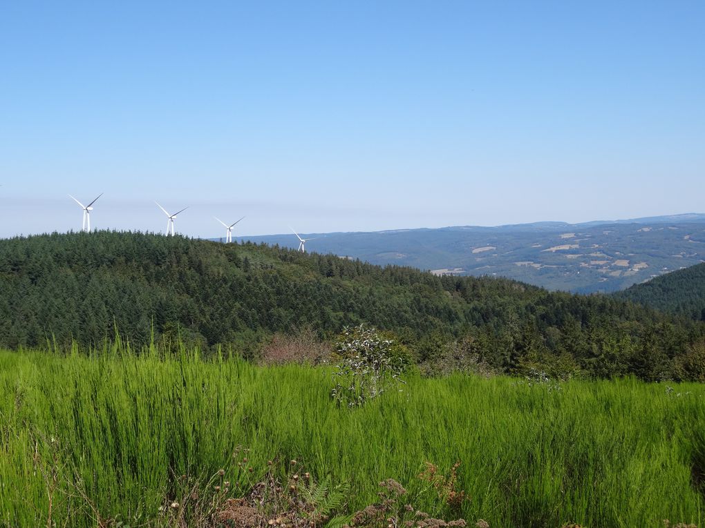 Parcours n°10 Albine Candesoubre Crêtes au départ d'Albine (12) le 05/09/2020