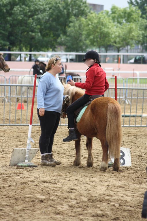 Voici un exemple d'équifun que nous mettons en place durant l'année scolaire. Celui de Cordemais se déroule pendant les finales départementales d'équitation de Saut d'obstacle, de Pony-games, etc.