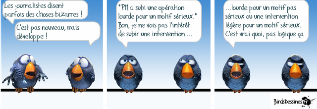 Les zoziaux, Elle et le sens des mots
