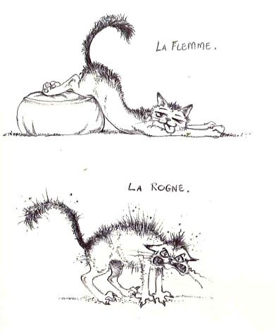 Humour Anagruz Crazyfantasia
