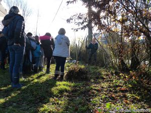 Festival de l'arbre 2017 (2)