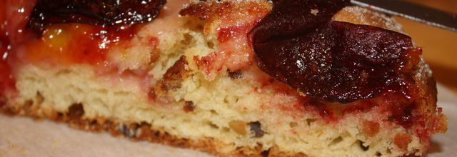 TARTE BRIOCHEE AUX QUETSCHES ET AUX PISTACHES
