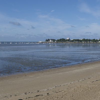 Marée basse