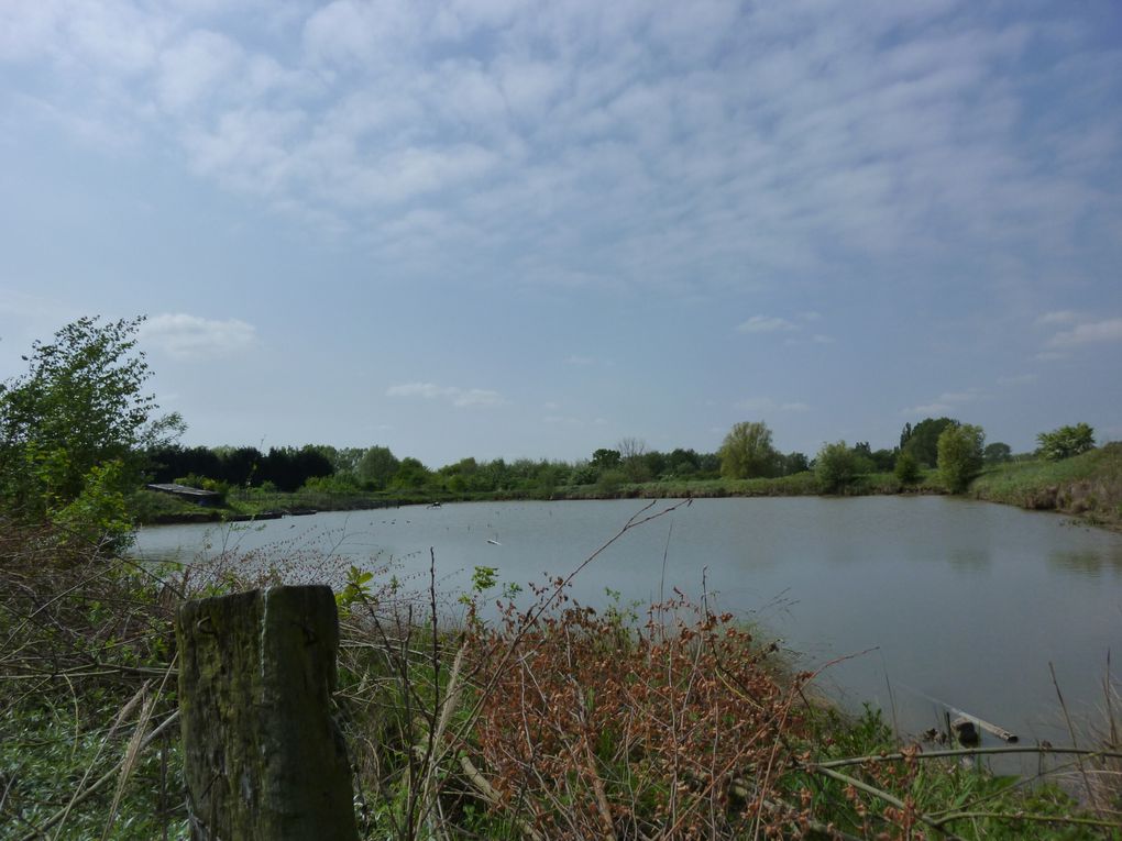 la peche , les étangs du nord pas de calais les canaux