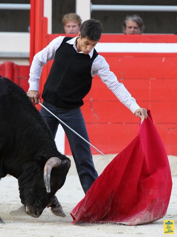 St-Martin-de-Crau Samedi 8 octobre 1011 Journée du Revivre de la Feria de la Crau Tienta de macho et de vacas et Lidia de 4 toros Ganaderias : Giraud-Malaga-Yonnet