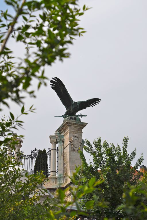 Album - Zsambek---Budapest-2011