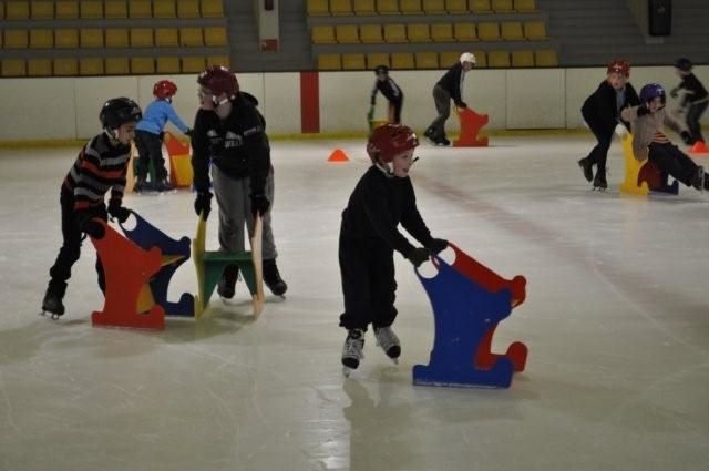 Voici quelques photos de nos futurs champions !