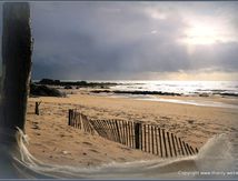 Les ganivelles de La plage de La Govelle à Batz-sur-Mer