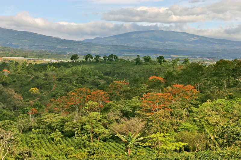 Album - Costa-Rica